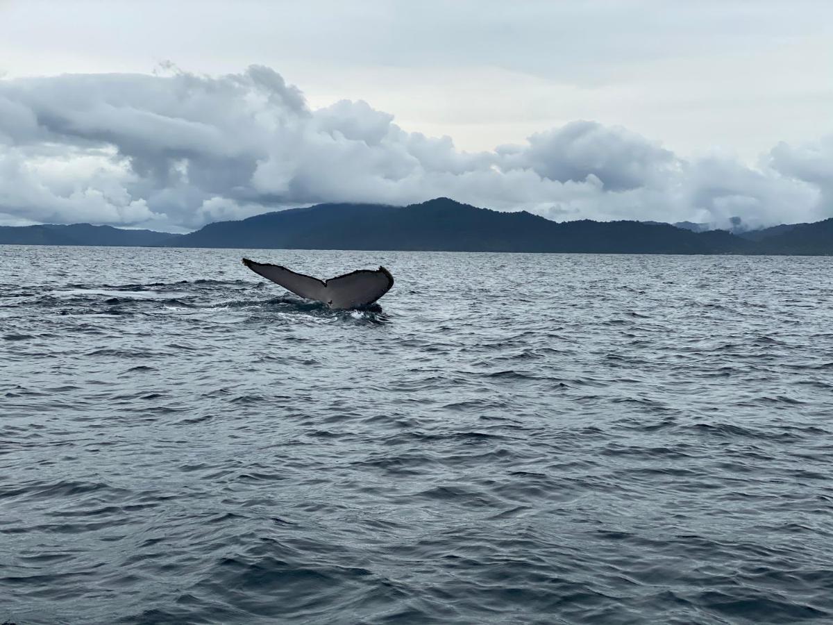 Posada Turistica Rocas De Cabo Marzo Bahia Solano Eksteriør bilde