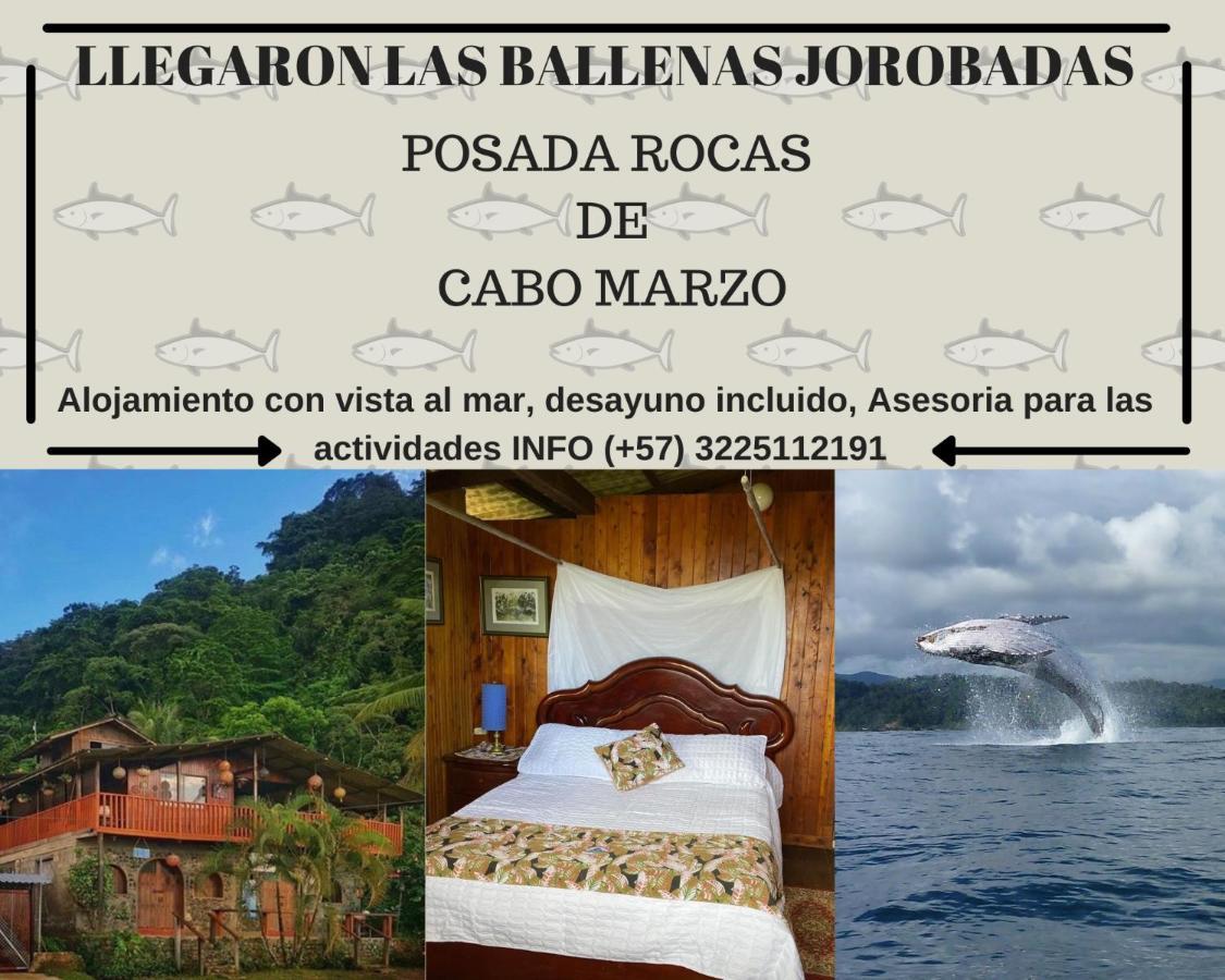 Posada Turistica Rocas De Cabo Marzo Bahia Solano Eksteriør bilde