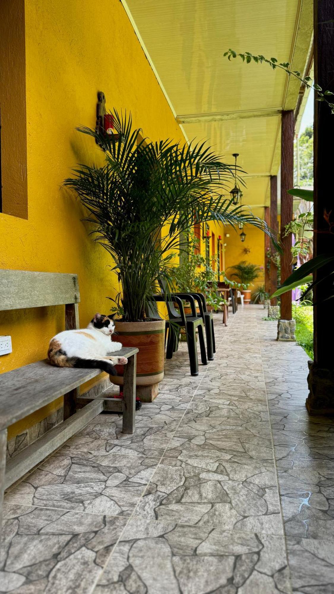 Posada Turistica Rocas De Cabo Marzo Bahia Solano Eksteriør bilde